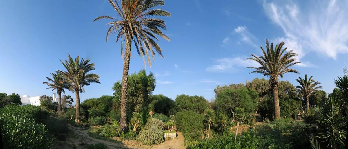 Hotel El Andalous Soliman Dış mekan fotoğraf